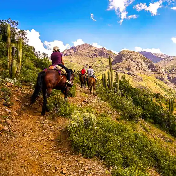 Cajón del Maipo
