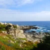 Isla Negra