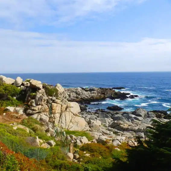 Isla Negra