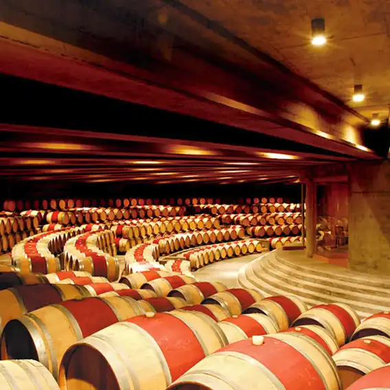 Valle de Colchagua