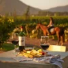 Valle de Colchagua