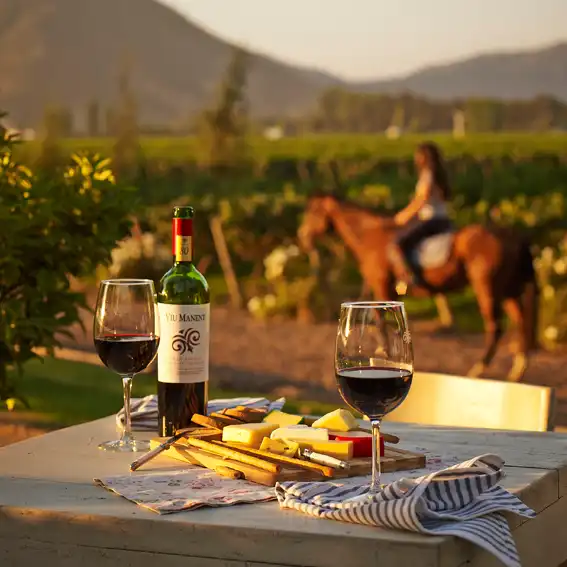Valle de Colchagua